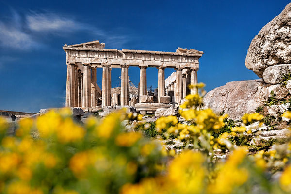 Ancient Parthenon with yellow flowers foreground