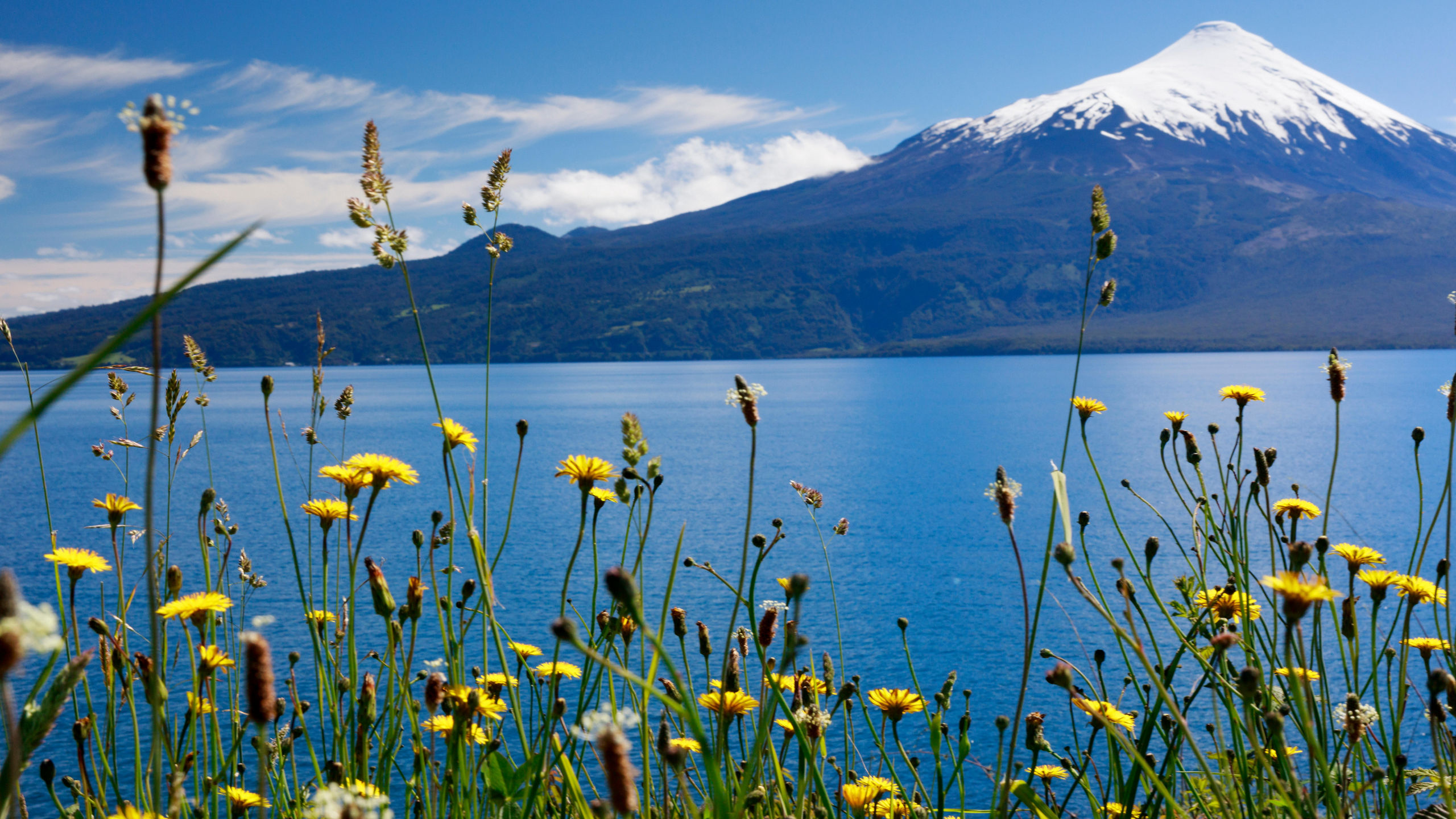 South America & the Chilean Fjords