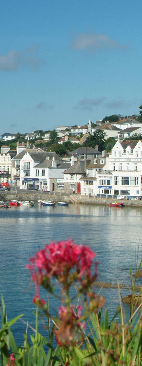 Scenic coastal village with vibrant flowers