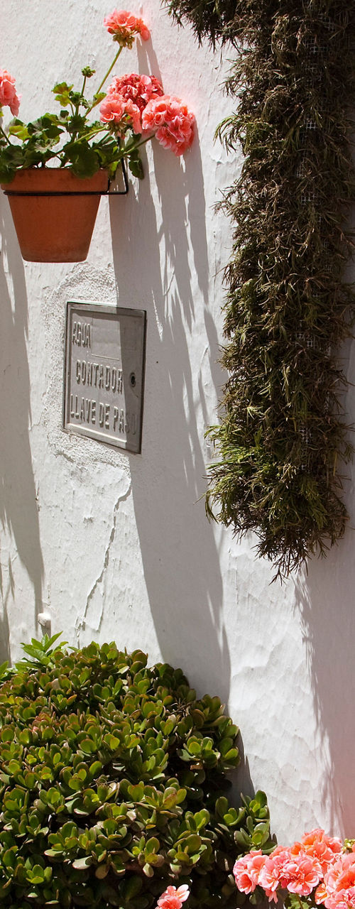 Charming Mediterranean alley with flowers