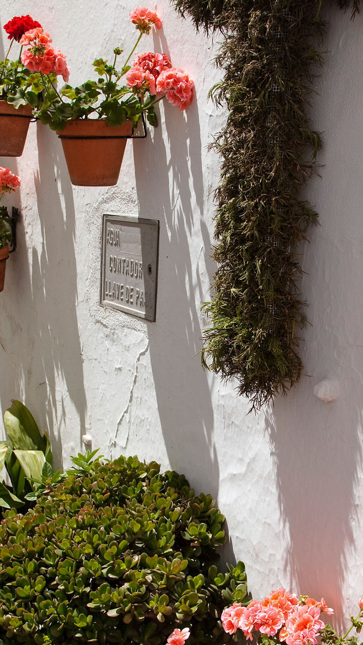 Mountainside Village of Mijas