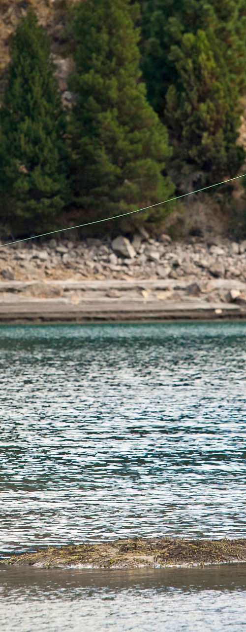 Man fly fishing in scenic river