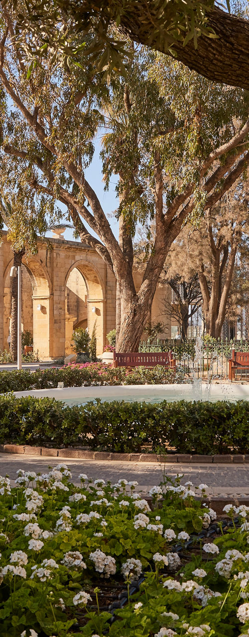 Scenic garden with stone arches and flowers