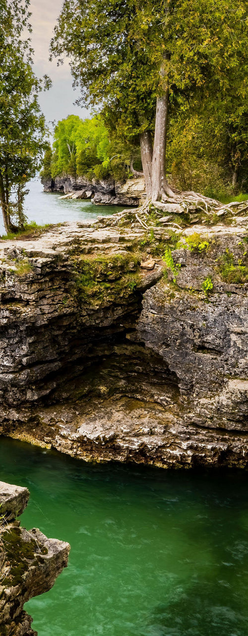 Scenic rocky shoreline with lush greenery