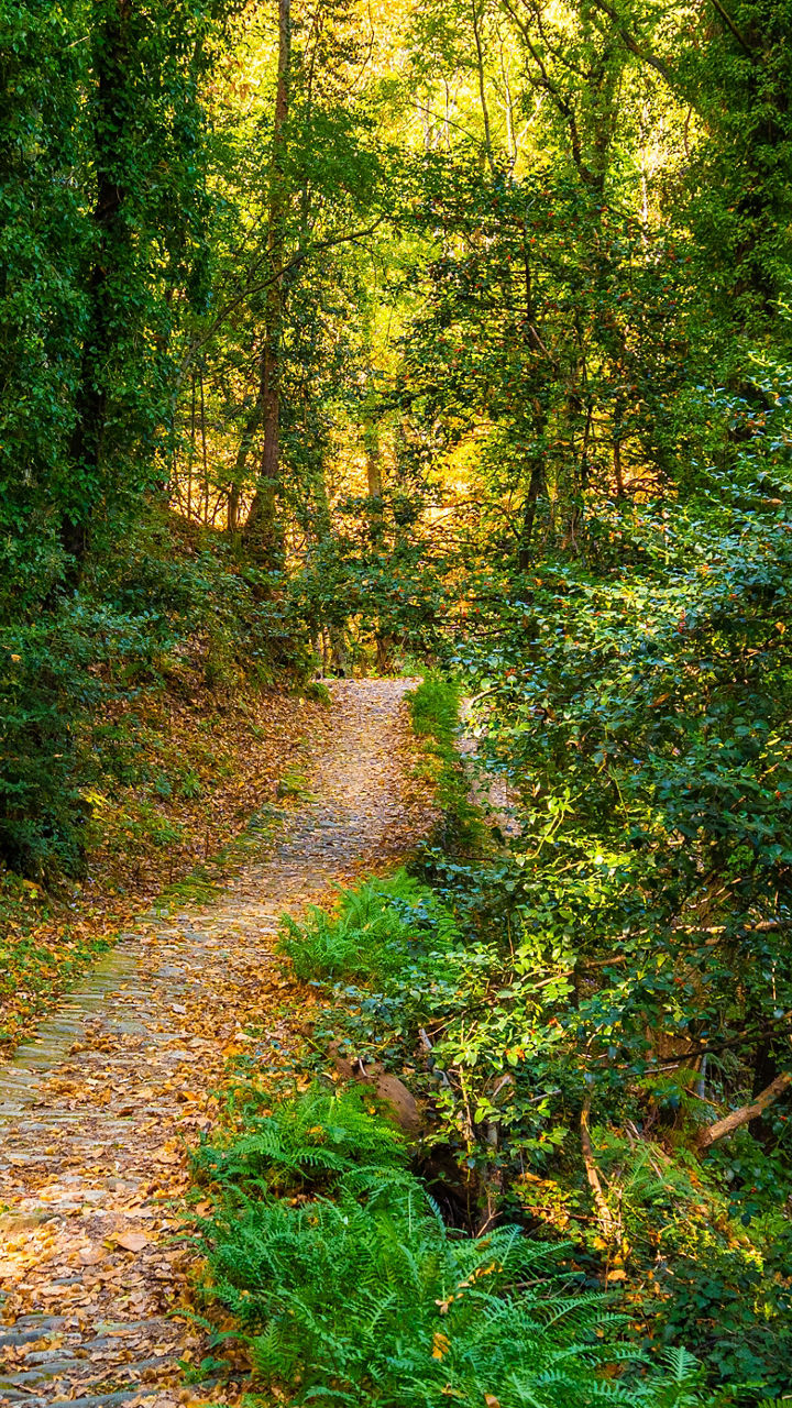 Hike the Centaurs’ Trail