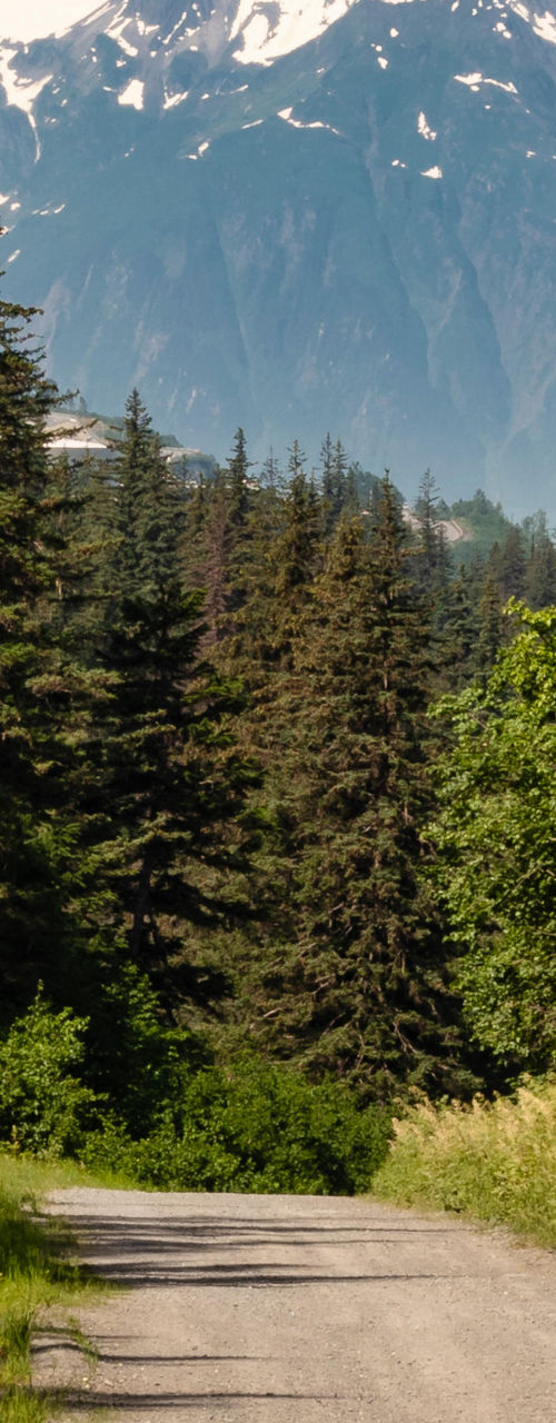 Scenic mountain trail with lush greenery