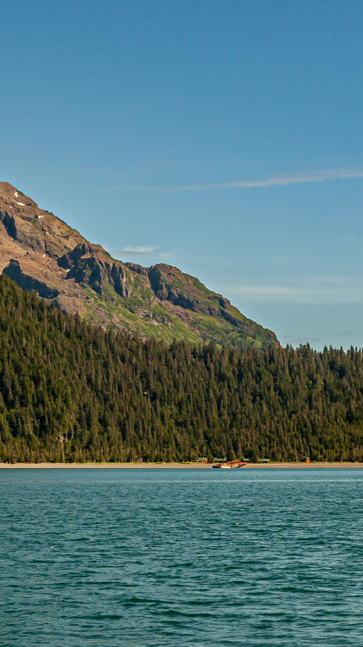 Kayaking in Resurrection Bay & Tonsina Point