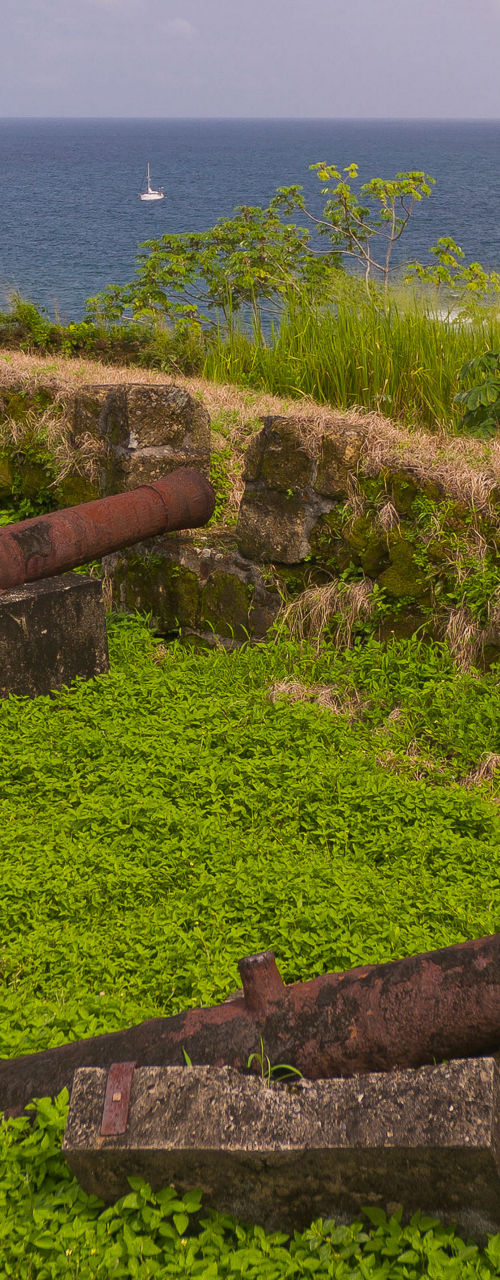 Historic cannons overlooking lush coastline