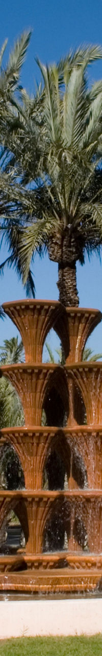 Tiered fountain surrounded by palm trees