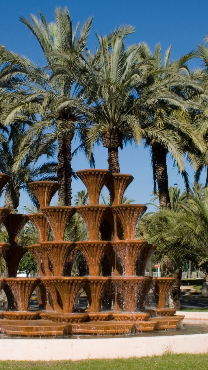 Tiered fountain surrounded by palm trees