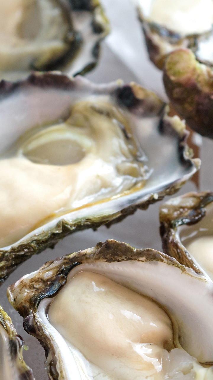 Sapphire Coast Oysters