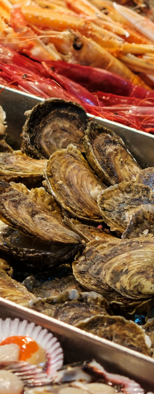 Fresh seafood assortment displayed at market stall