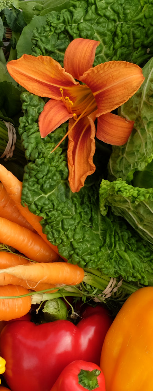 Colorful assortment of fresh vegetables in basket