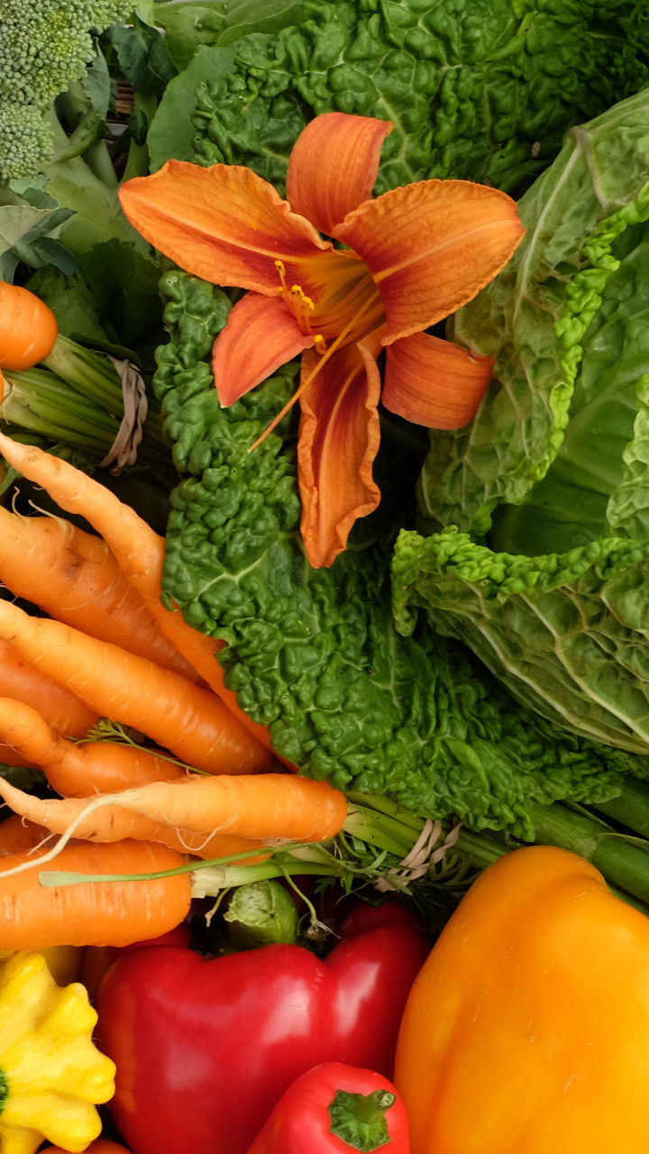 Field to Fork at Les Jardins de Sophie