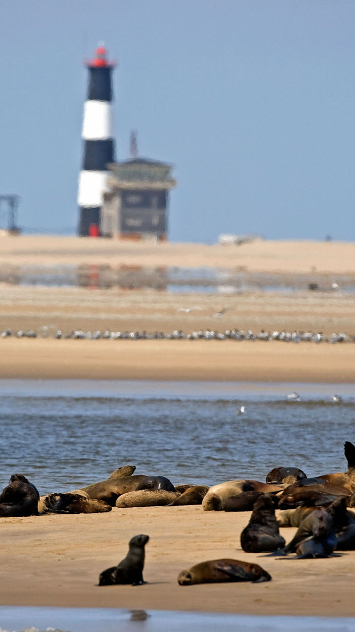 Walvis Bay Lagoon Cruise