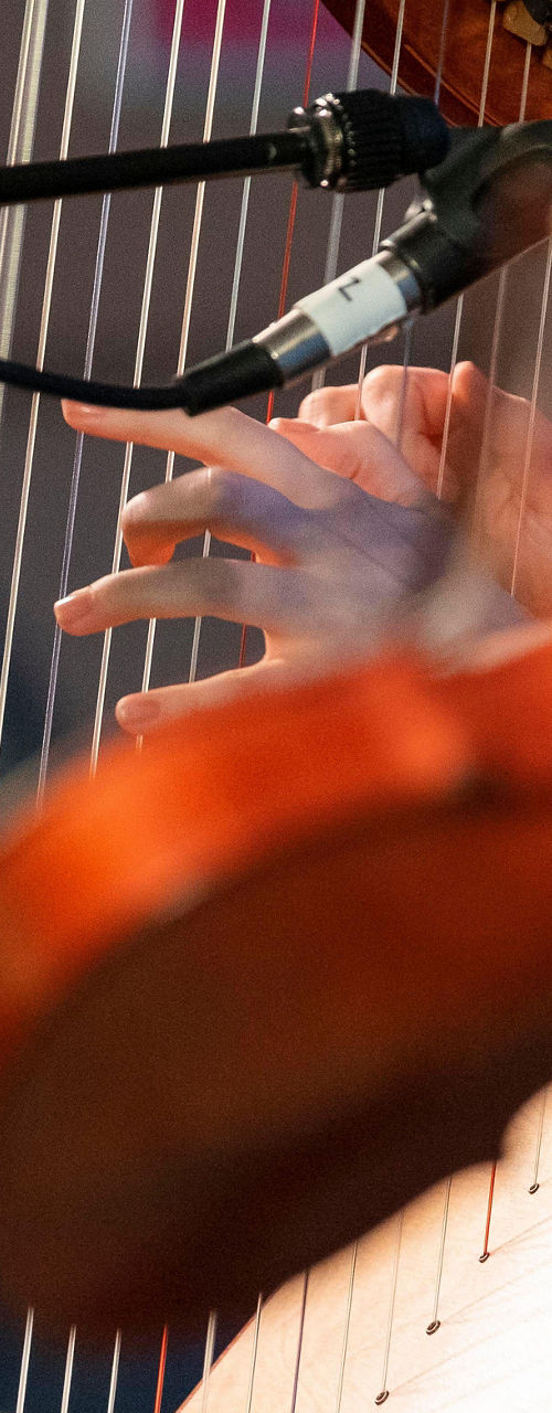Close-up of violin and harp performance