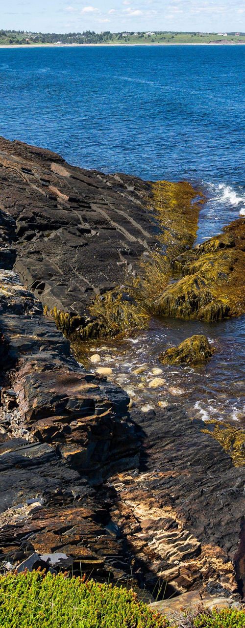 Rocky coastline with lush greenery and blue sea