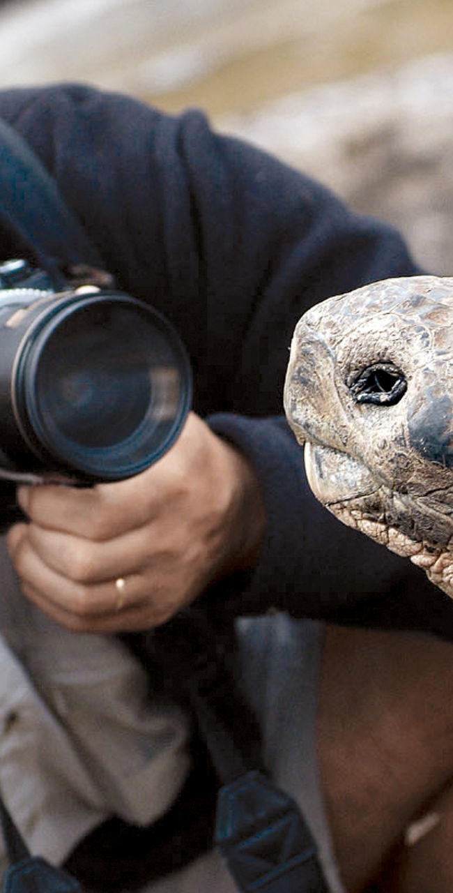 Photographer captures close-up of tortoise