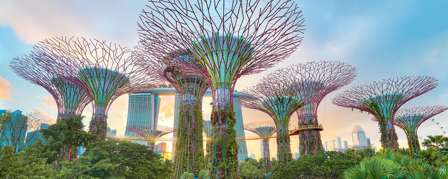 Futuristic garden with towering tree structures