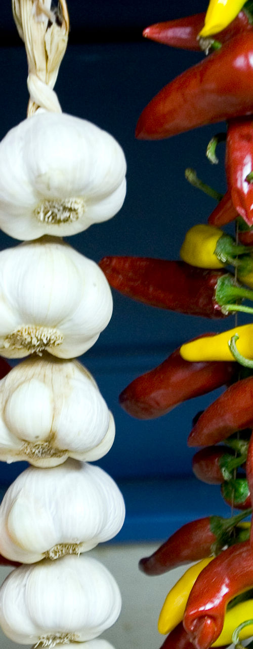 Colorful chili and garlic hanging display