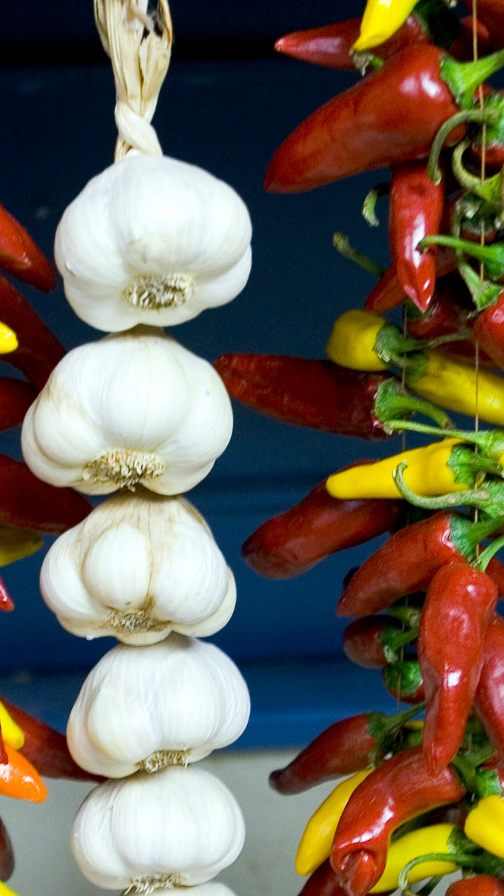 Colorful chili and garlic hanging display