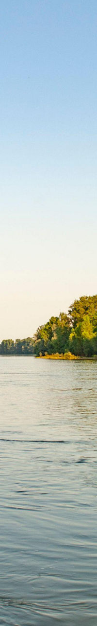 Serene river landscape with lush greenery