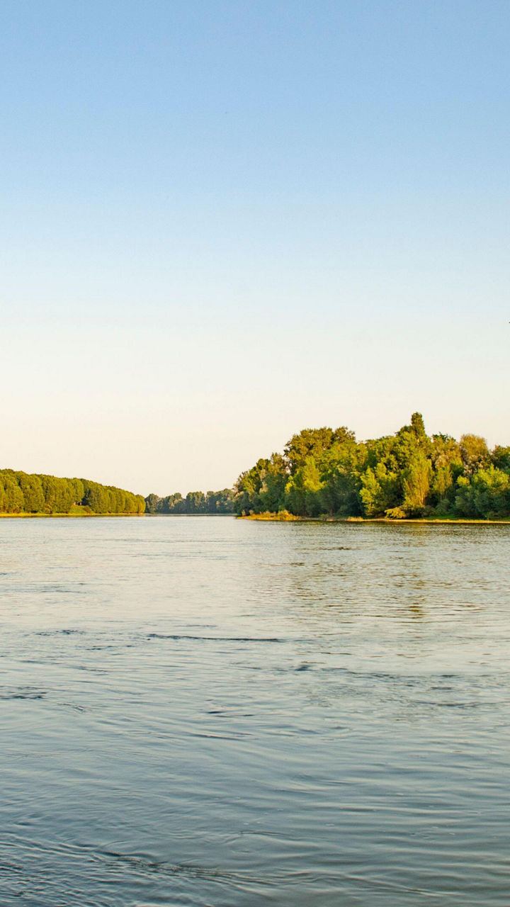 Serene river landscape with lush greenery