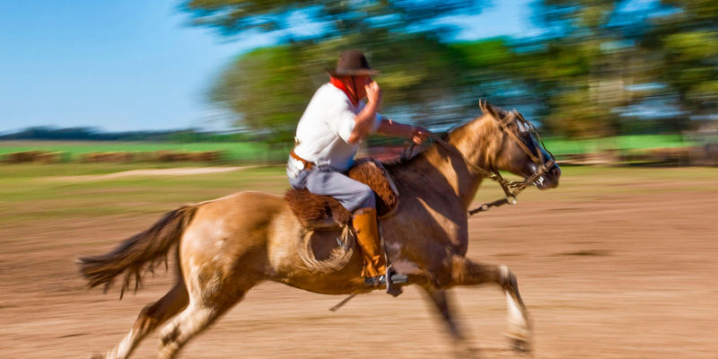 Man riding horse in rural landscape