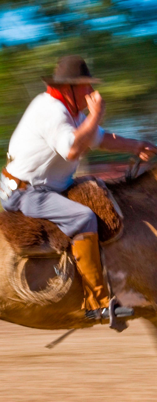 Man riding horse in rural landscape