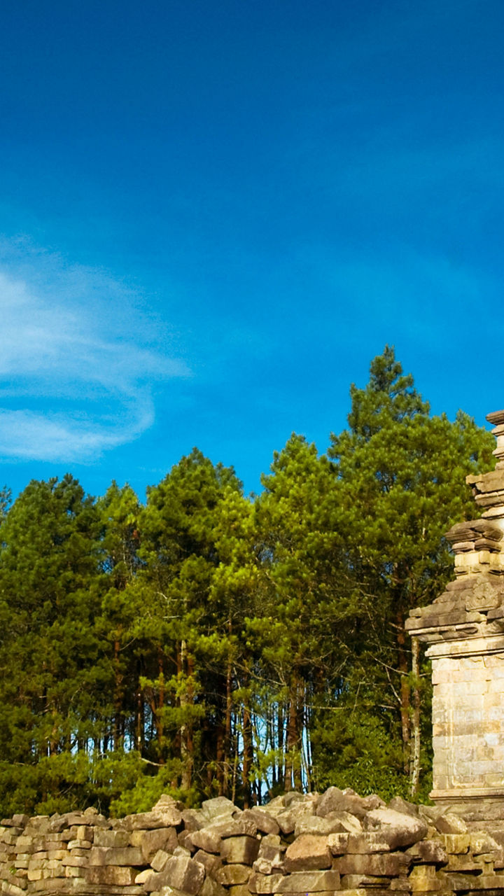 Semarang & Hilltop Temples