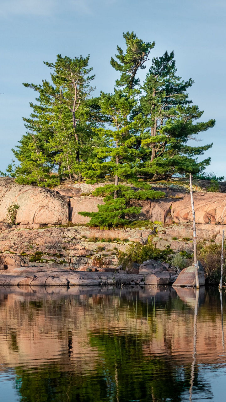 Serene Lakeside Landscape with Pine Trees