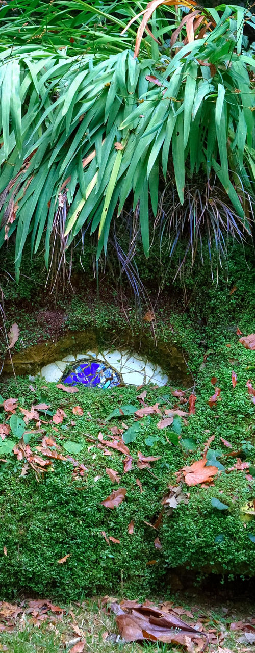 Whimsical moss-covered face in forest setting