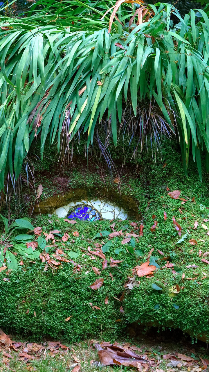 The Lost Gardens of Heligan
