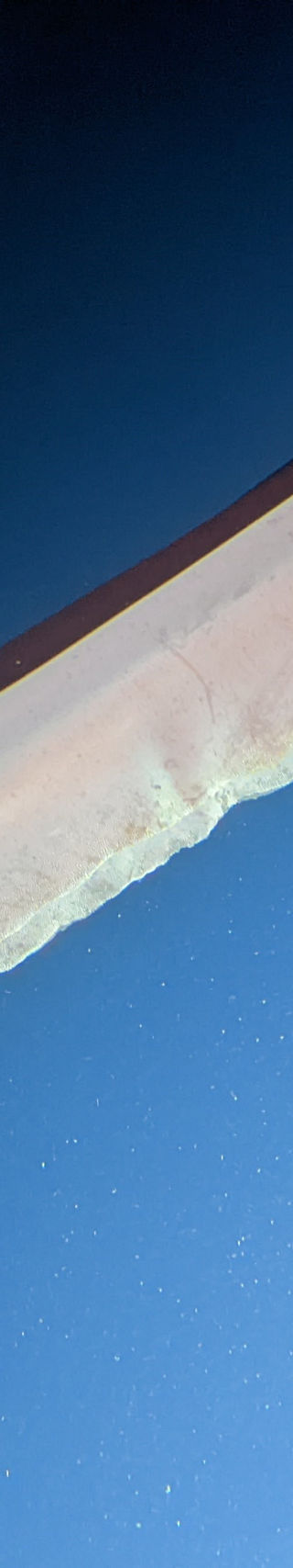Deep-sea jellyfish with extended tentacle