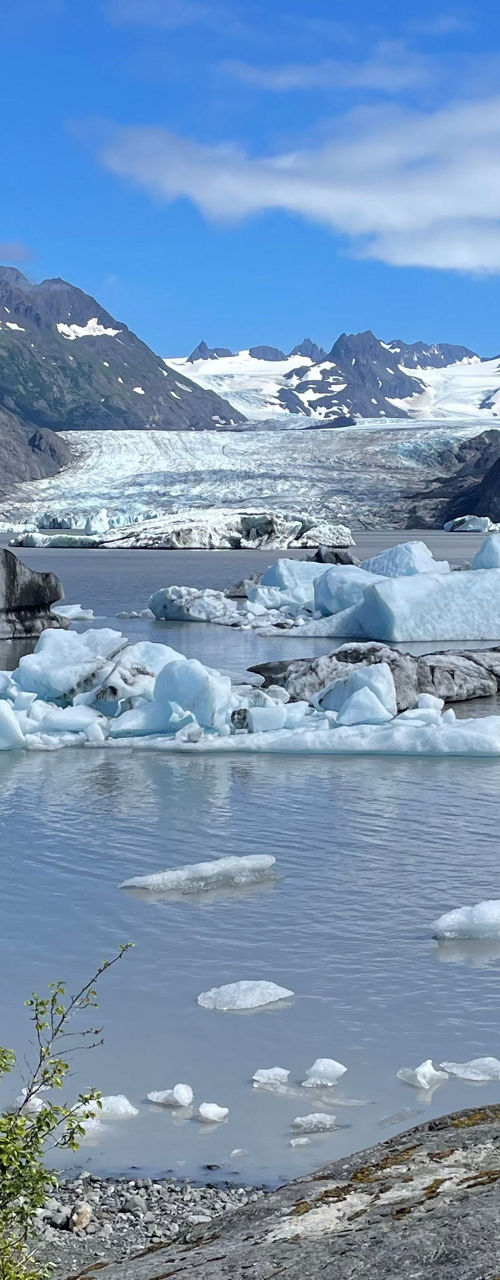 Scenic Glacier Landscape with Icebergs