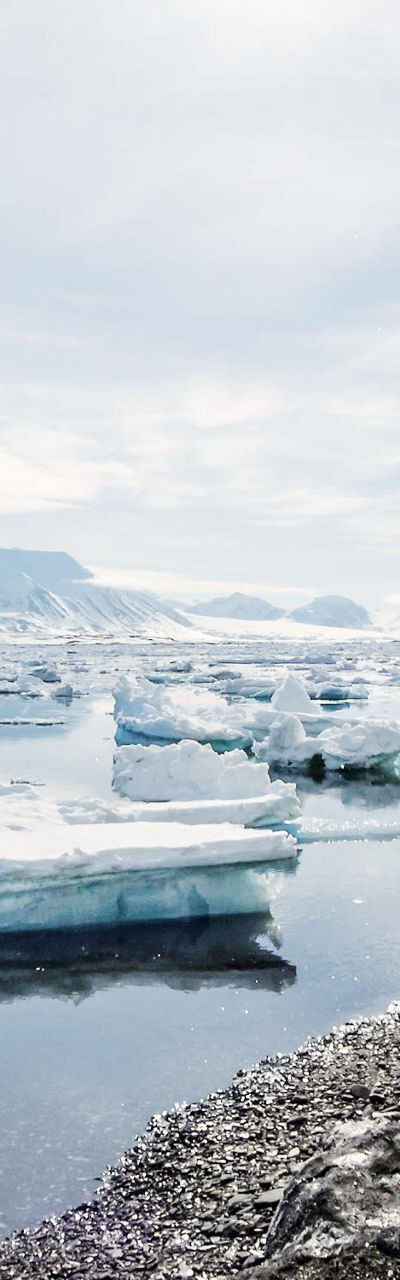 Frozen Arctic landscape with icicles
