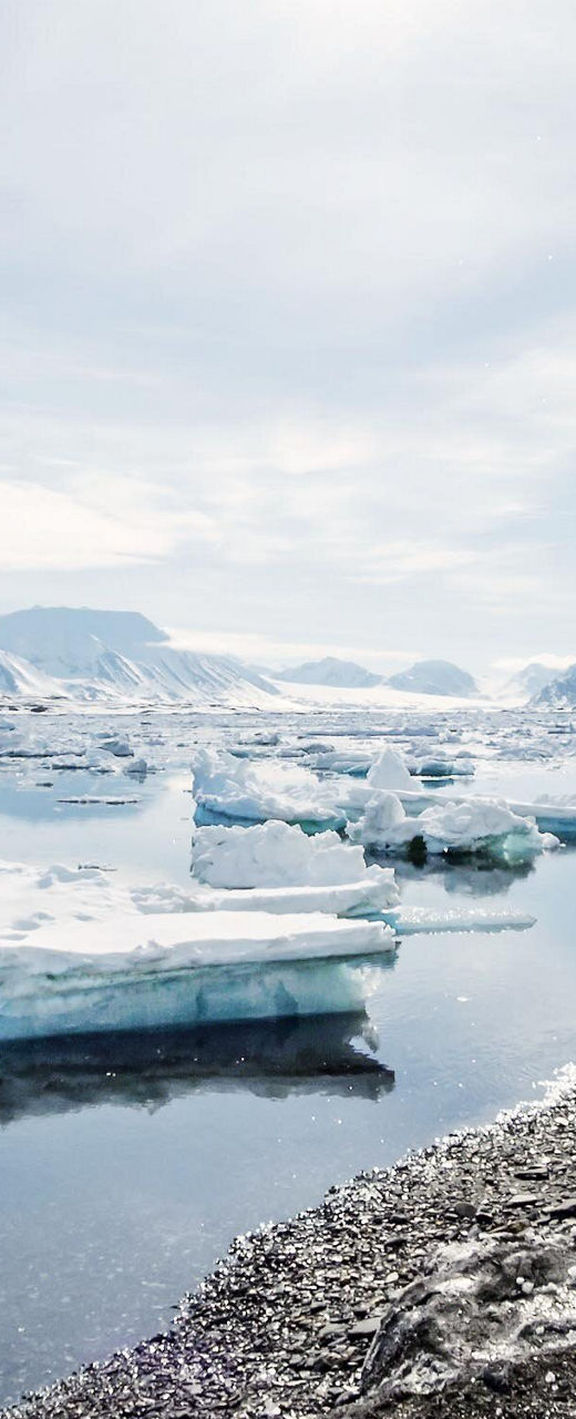 Frozen Arctic landscape with icicles