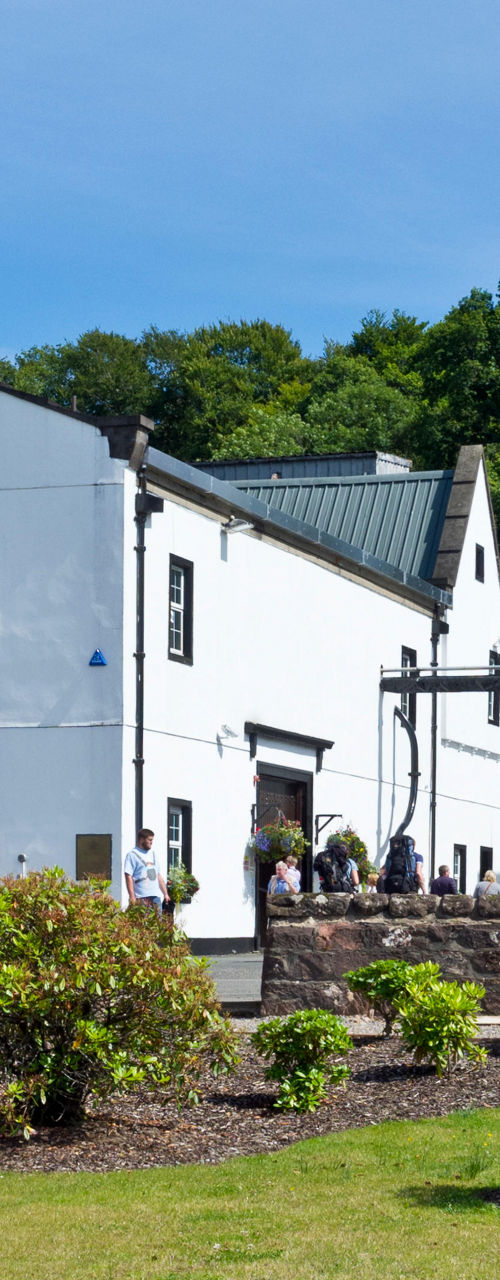 Historic white distillery in lush landscape