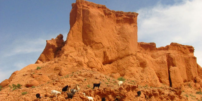 Red rock cliffs with grazing goats