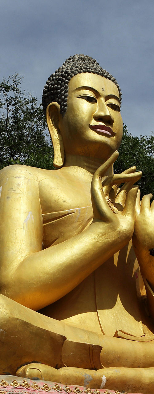 Golden Buddha statues in outdoor setting