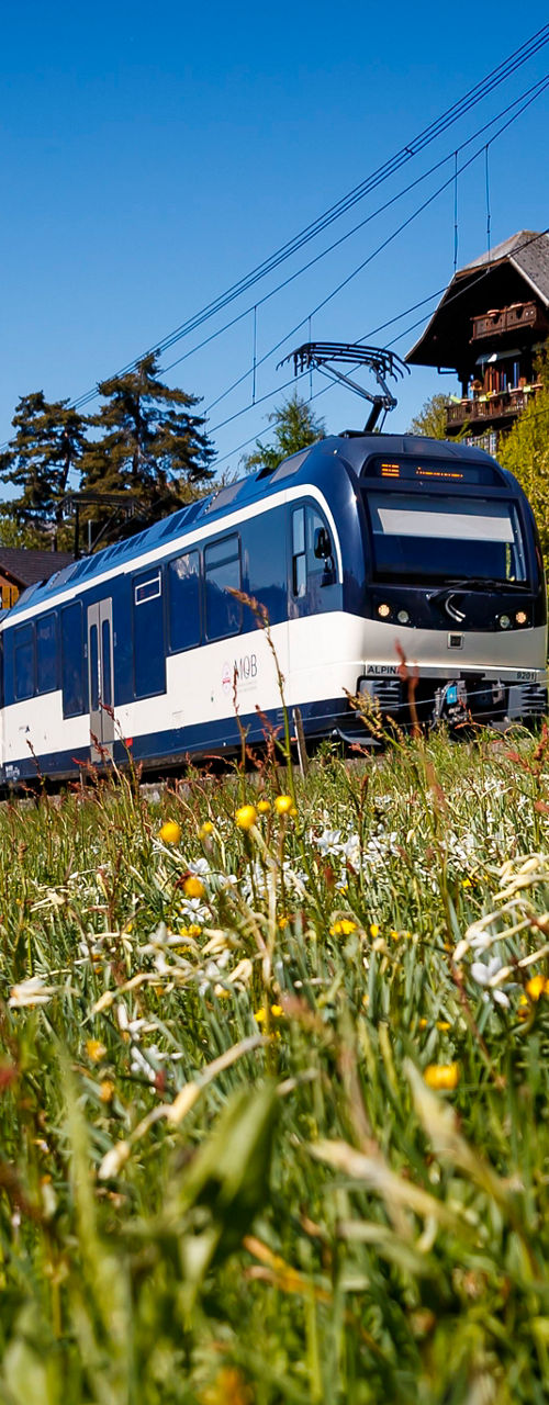 Scenic train passing through alpine meadow