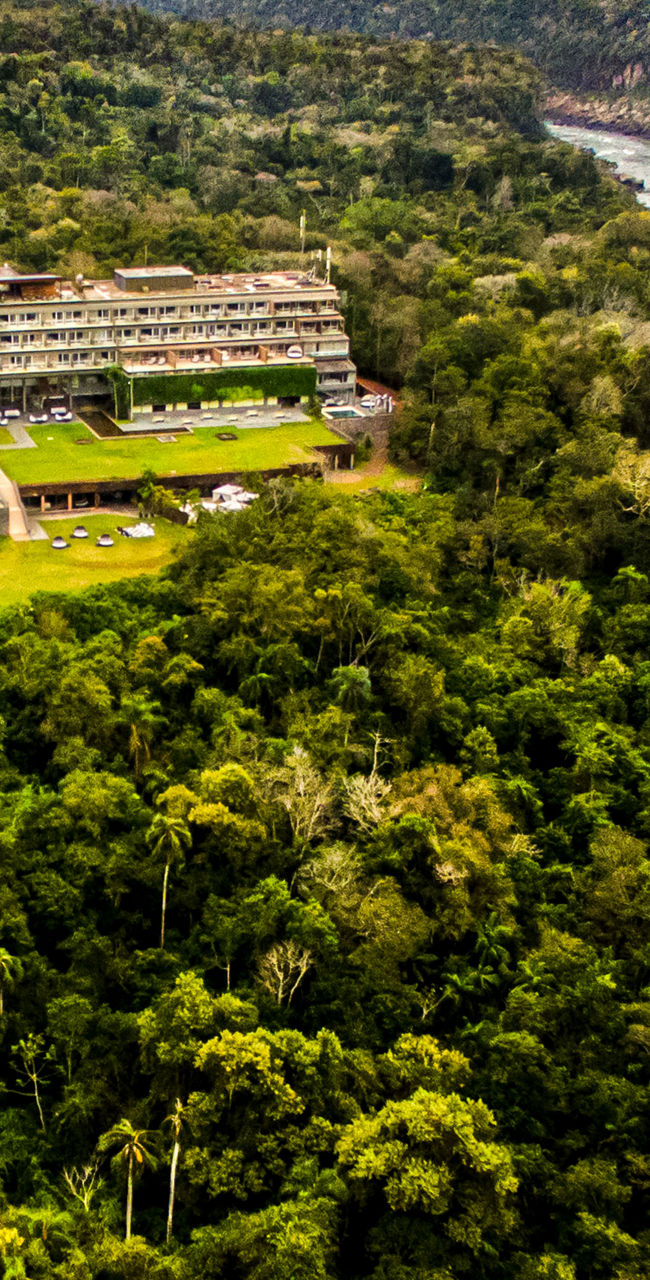 Luxury resort surrounded by lush rainforest