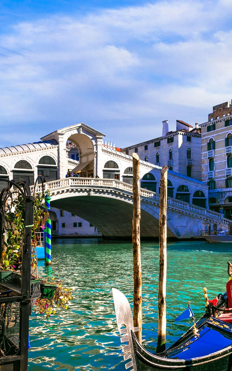 Gondolas by Rialto Bridge in Venice