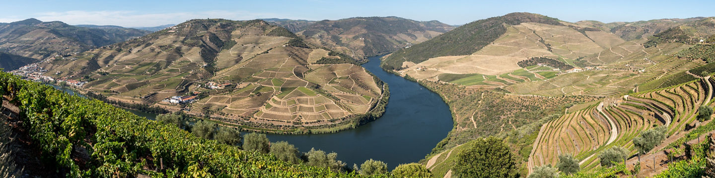 Scenic vineyard landscape with winding river