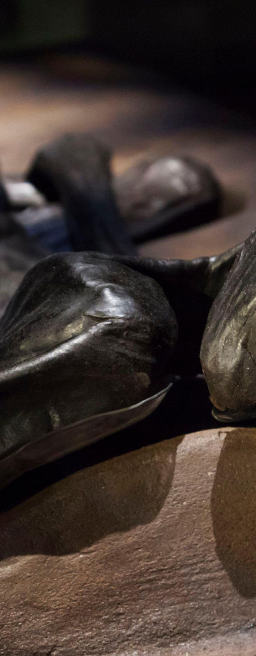 Preserved ancient bog body on display