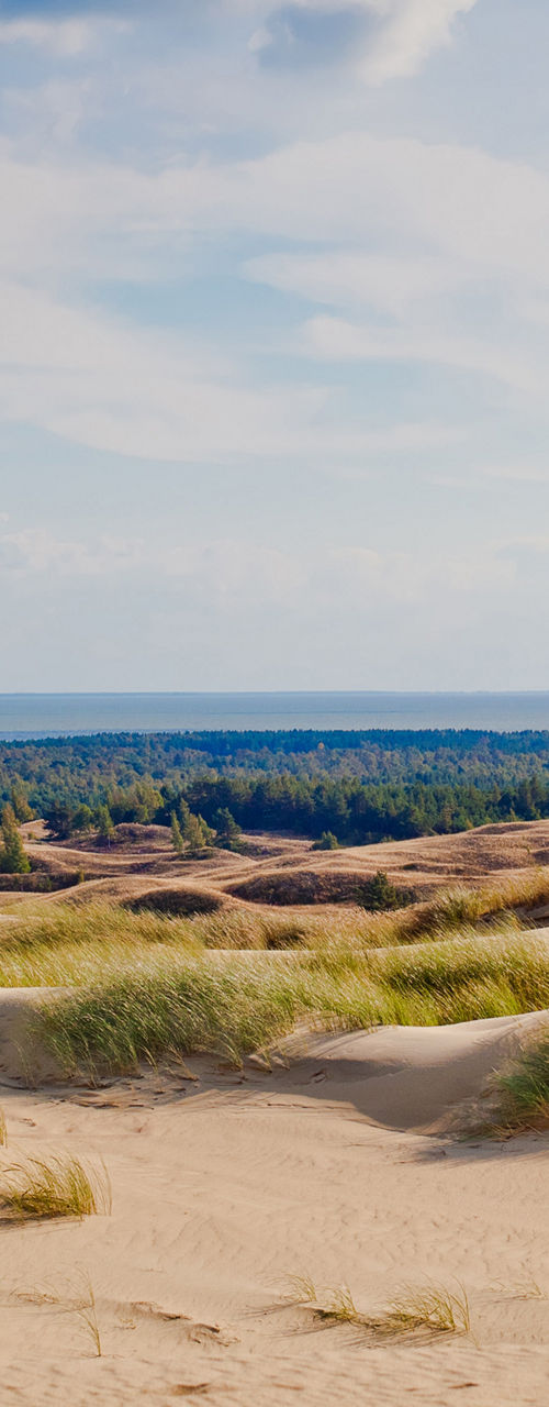 Scenic coastal dunes under blue sky