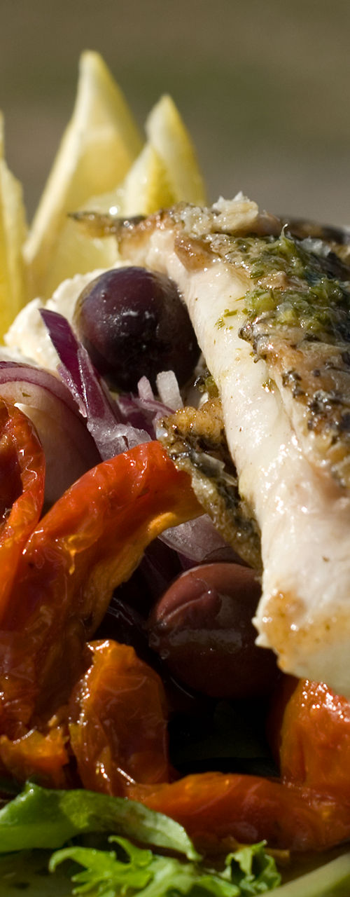 Grilled fish with fresh salad outdoors
