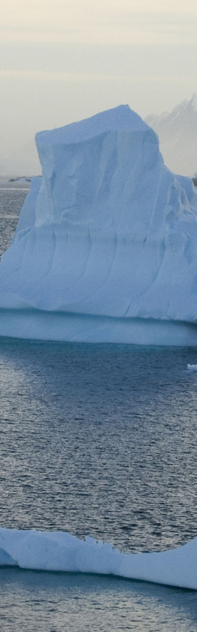 Majestic icebergs in polar seascape