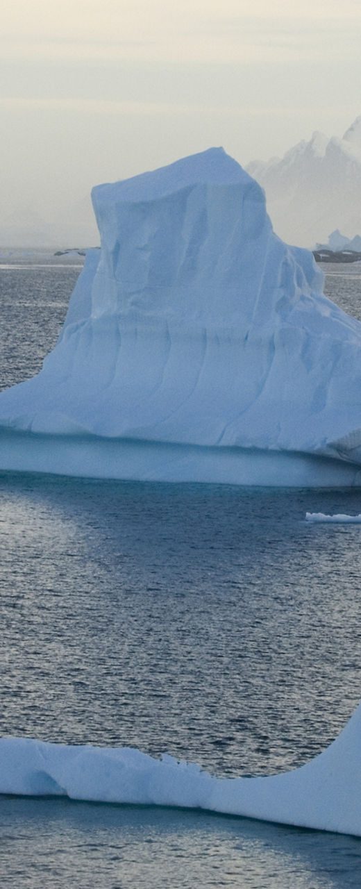 Majestic icebergs in polar seascape