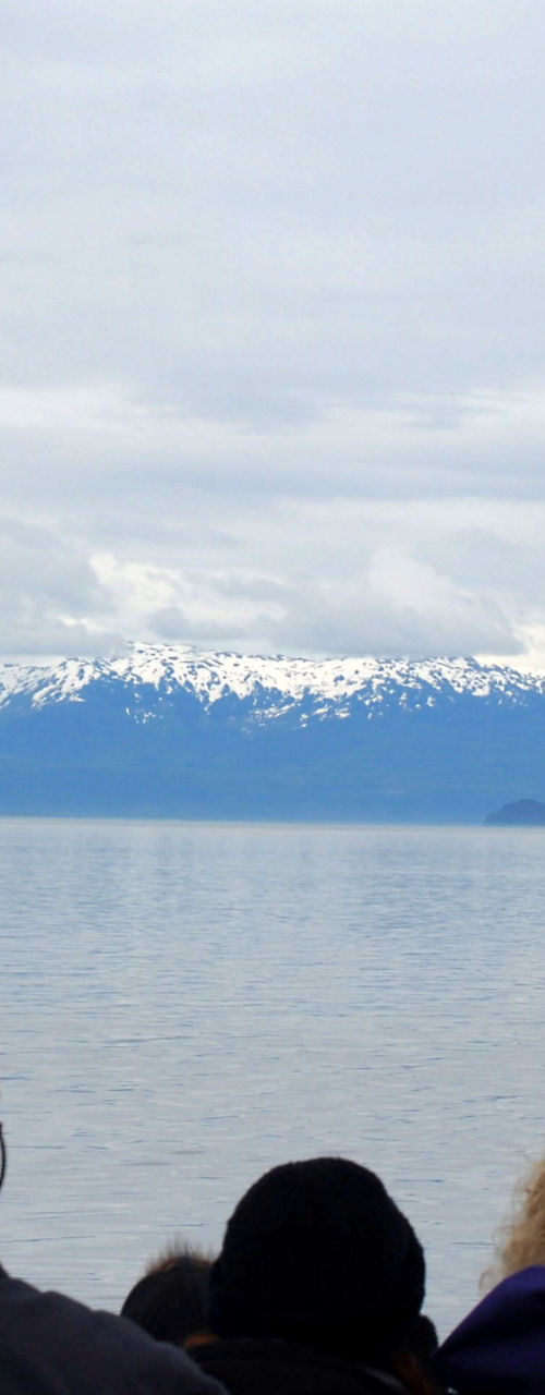 Whale watching with snowy mountain backdrop